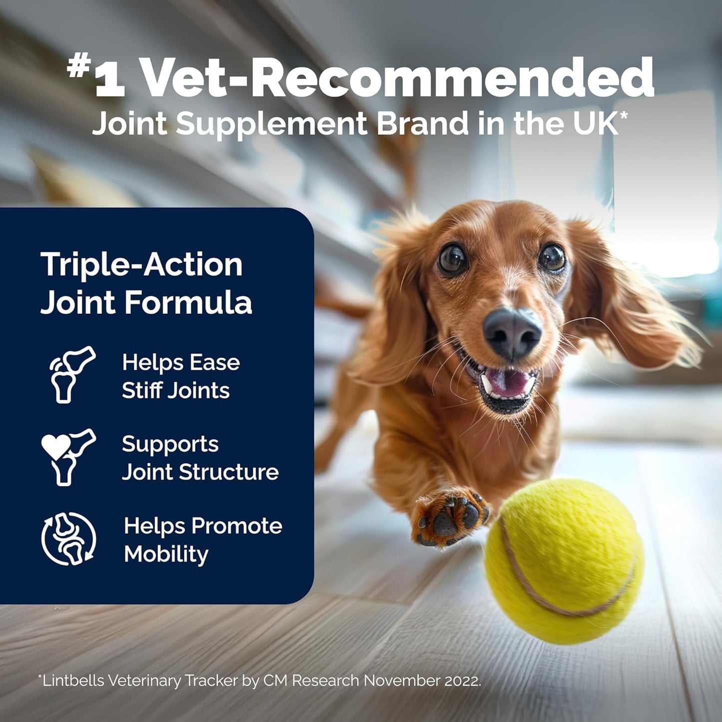 YuMOVE Dog Joint Supplement, Hip and Joint Supplement for Dogs with Glucosamine Chondroitin, Hyaluronic Acid, Green Lipped Mussel and Omega 3, Dog Hip and Joint Aches and Stiffness (300 Tasty Bites)