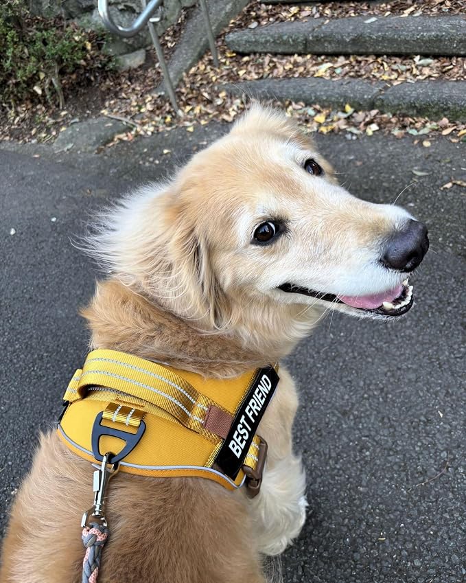 AUROTH Dog Harness and Leash Set for Medium Sized Dog, No Pull Dog Vest | with 5.25FT Dog Leash, Breathable Soft Padded, No choke, Reflective Tactical, Easy to Put on & Take Off - Turmeric Medium