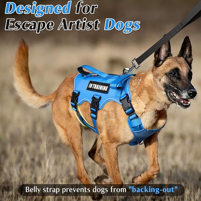 Escape Proof Dog Harness with Double Handle+4 Removable Patches | Service Working Molle Harness with Double Handle for Small Dogs, Tactical Pet Reflective Vest for Walking Hiking Hunting