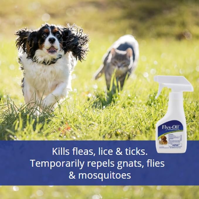 Farnam Flys-Off Insect Repellent for Dogs and Cats 6 Fluid Ounces (Pack of 2)