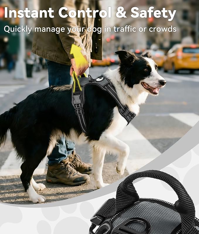 Joytale No Pull Dog Harness for Small Dogs, Front Clip, Gray | Grab Handle for Instant Control, Padded & Adjustable Vest, Sturdy Metal D-Rings, for Safe Training & Daily Walking