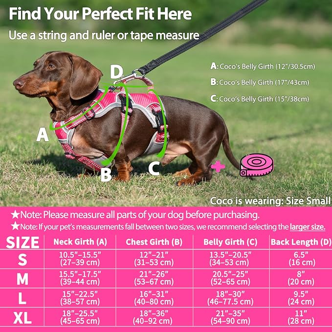 Escape Proof Dog Harness, Dachshund Harness, Reflective Dog Harness with Handle, Durable,Adjustable Vest for Small Medium Large Dogs Walking, Training, and Running Gear (Rose red,XL)