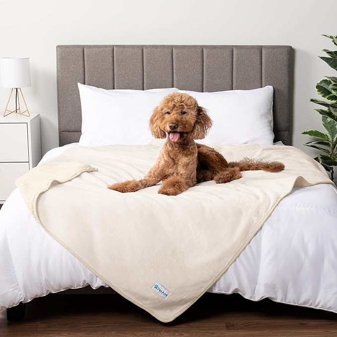 PetAmi Waterproof Dog Blanket Sherpa Fleece, Pet Medium Large Dogs, Reversible Cat Throw Bed Couch Sofa Furniture Protector, Soft Plush Microfiber (X-Large 60x80, Beige), X-Large (60x80)