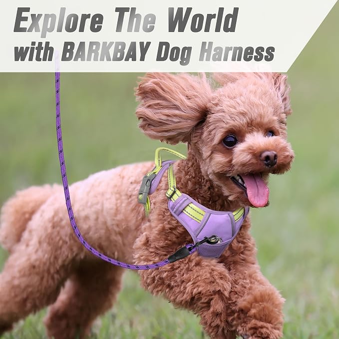 BARKBAY Dog Harness No Pull for Small Sized Dog Front Back Clips,Dog Vest | Soft Padded No Choke With Handle,Easy On&Off,Adjustable Reflective For Walking Training Running(Violet Purple & Sunlight,XS)