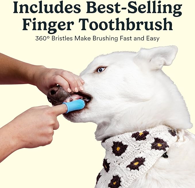 Jasper Dog Tooth Brushing Kit and Dog Toothpaste Kit 360 Dog Toothbrush Enzymatic Plaque Remover Imporves Bad Breath Natural Pet Toothpaste Dog Toothbrush and Toothpaste 2 oz Chicken Flavor