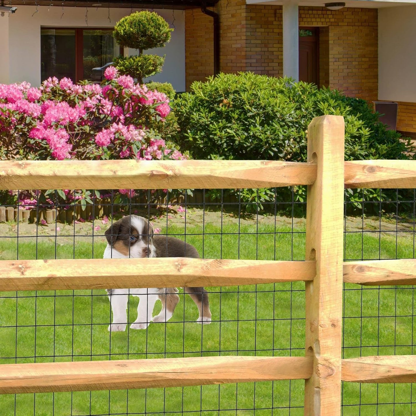 Black PVC Coated Welded Wire Fence 36 Inch x 25 Foot, 2 Inch x 3 Inch 16GA, Garden Border Fencing Roll Vinyl Coating Metal Wire Mesh for Yard Vegetable Plant Protection Poultry Netting