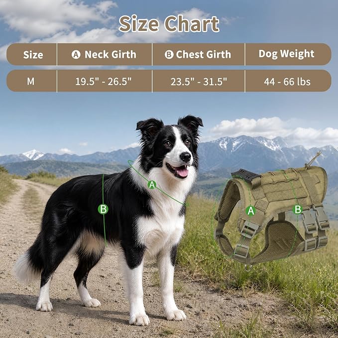 Tactical Dog Harness for Medium Dogs, Heavy Duty No Pull Dog Harness with Handle, Adjustable 6-Buckle Pet Vest for Pitbull, Border Collie, Boxer, Walking, Training, Hunting