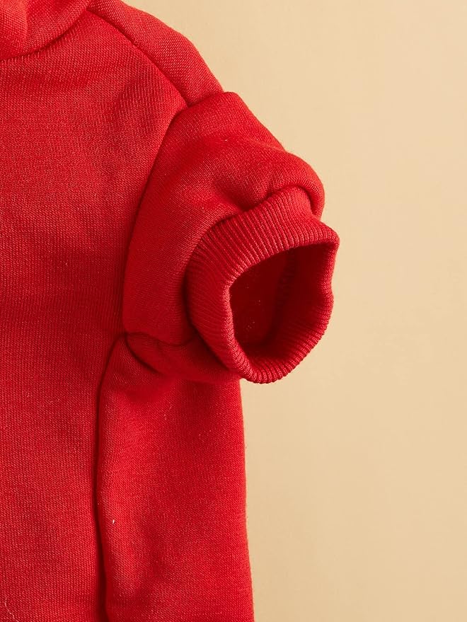 QWINEE Basic Dog Hoodie Sweatshirt Puppy Sweater Warm Cat Costumes Pet Clothes for Chihuahua Puppy Kitten Small Medium Dogs Red X-Small