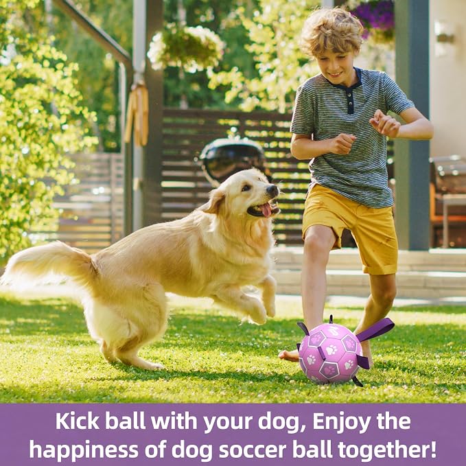 QDAN Dog Toys Soccer Ball with Straps - Durable Balls for Small Medium Dogs, Beach Pool Water Toy Dog Tug Toys for Tug of War, Puppy Pet Birthday Gifts (6 Inch)