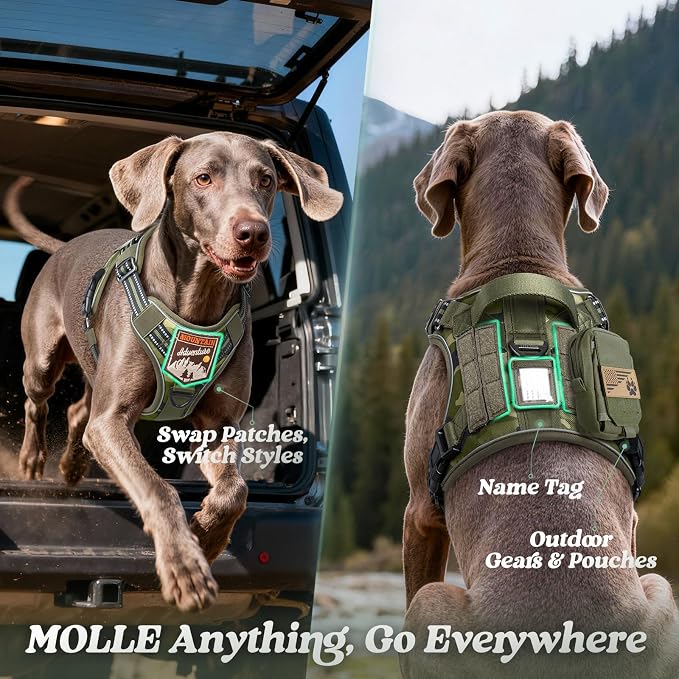 rabbitgoo Tactical Dog Harness for Large Dogs, No Pull Service Pet Vest | Military Molle System & Easy Control Handle, Adjustable and Reflective for Walking and Training, Green Camo, Large
