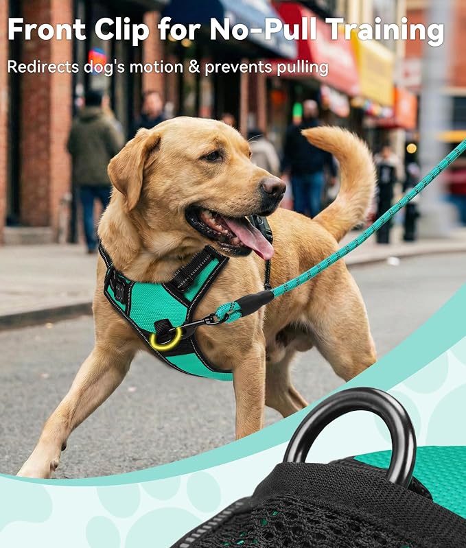 Joytale No Pull Dog Harness for Large Dogs, Front Clip, Teal | Grab Handle for Instant Control, Padded & Adjustable Vest, Sturdy Metal D-Rings, for Safe Training & Daily Walking
