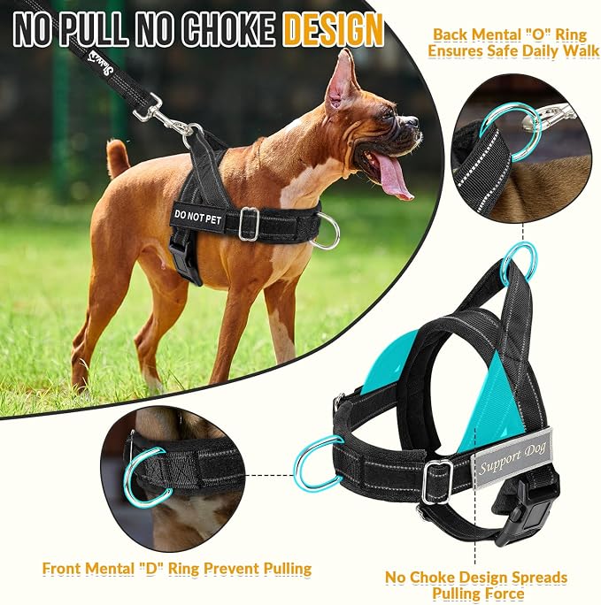 SlowTon No Pull Dog Harness with Front Clip - Heavy Duty, Soft Padded | Neck & Chest Adjustable, Tactical Pet Vest and Leash Set for Large Medium Sized Dogs, for Easy Walk & Training, Black S