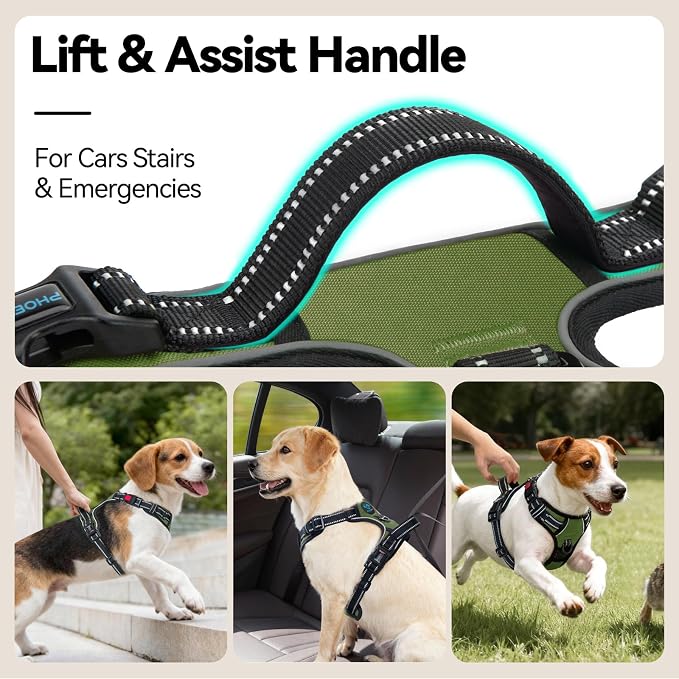 No Pull Dog Harness with Handle Front & Back Clip, Easy on | Lockable Snap Buckle at Neck, Adjustable Reflective Vest with Handle for Small Medium Large Dogs (M, Misty Green)