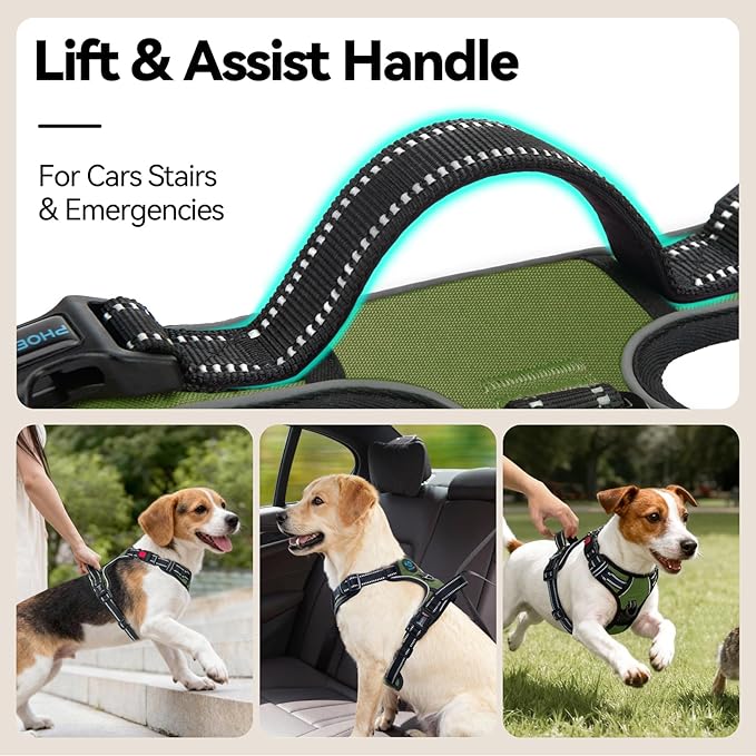 No Pull Dog Harness with Handle Front & Back Clip, Easy on | Lockable Snap Buckle at Neck, Adjustable Reflective Vest with Handle for Small Medium Large Dogs (XS, Misty Green)