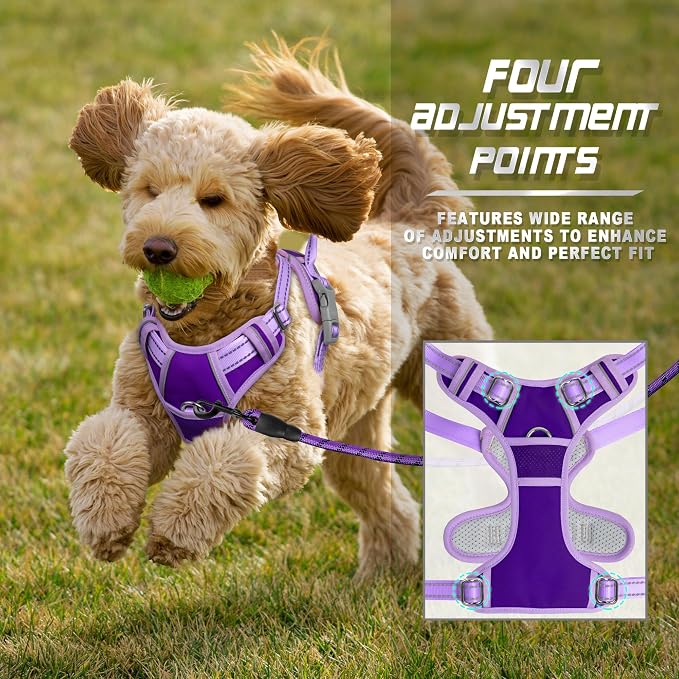 BARKBAY Dog Harness No Pull for Small Sized Dog Front Back Clips,Dog Vest | Soft Padded No Choke With Handle,Easy On&Off,Adjustable Reflective For Walking Training Running(Violet Purple & Purple,S)