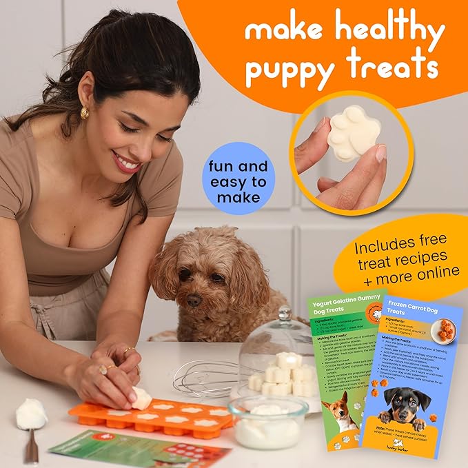 Premium Puppy Starter Kit - New Puppy Gift Basket with Essentials, Toy Box, Treat Tray, Training Supplies, Chew & Squeaky Toys for Puppies and Small Dogs - Complete Dog Must Haves for New Dog Owners