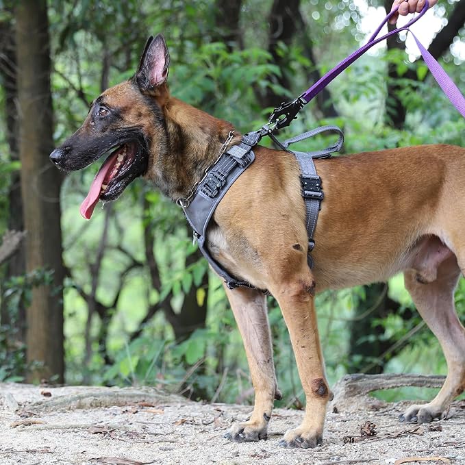 ICEFANG Dog Halter Harness with Metal Buckles,Dog Strap Vest for Medium Dogs