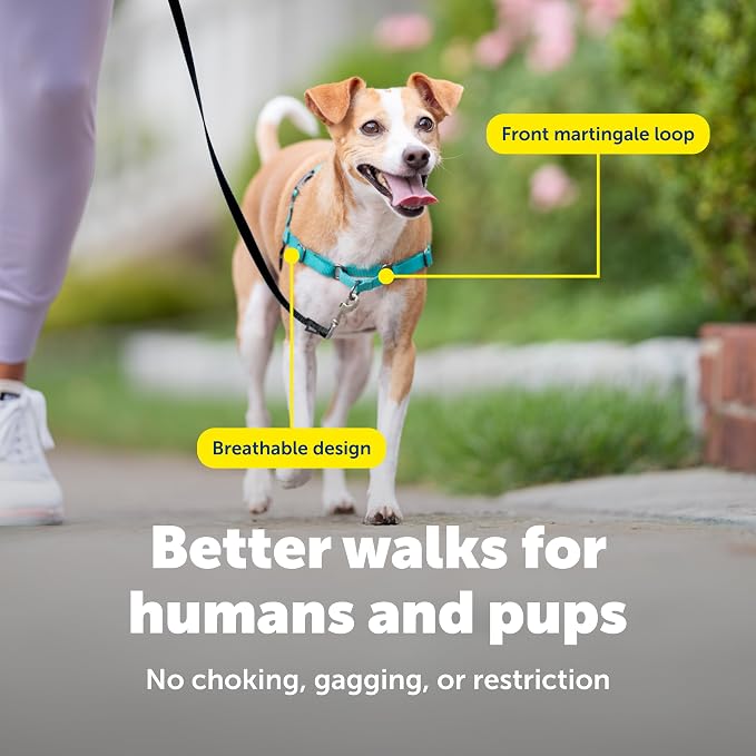 PetSafe Easy Walk Harness, No Pull Dog Harness, Small, Teal | Patented Martingale Loop Gives Gradual Shoulder Pressure to Stop Pulling, Front-Chest Leash Clip Prevents Gagging