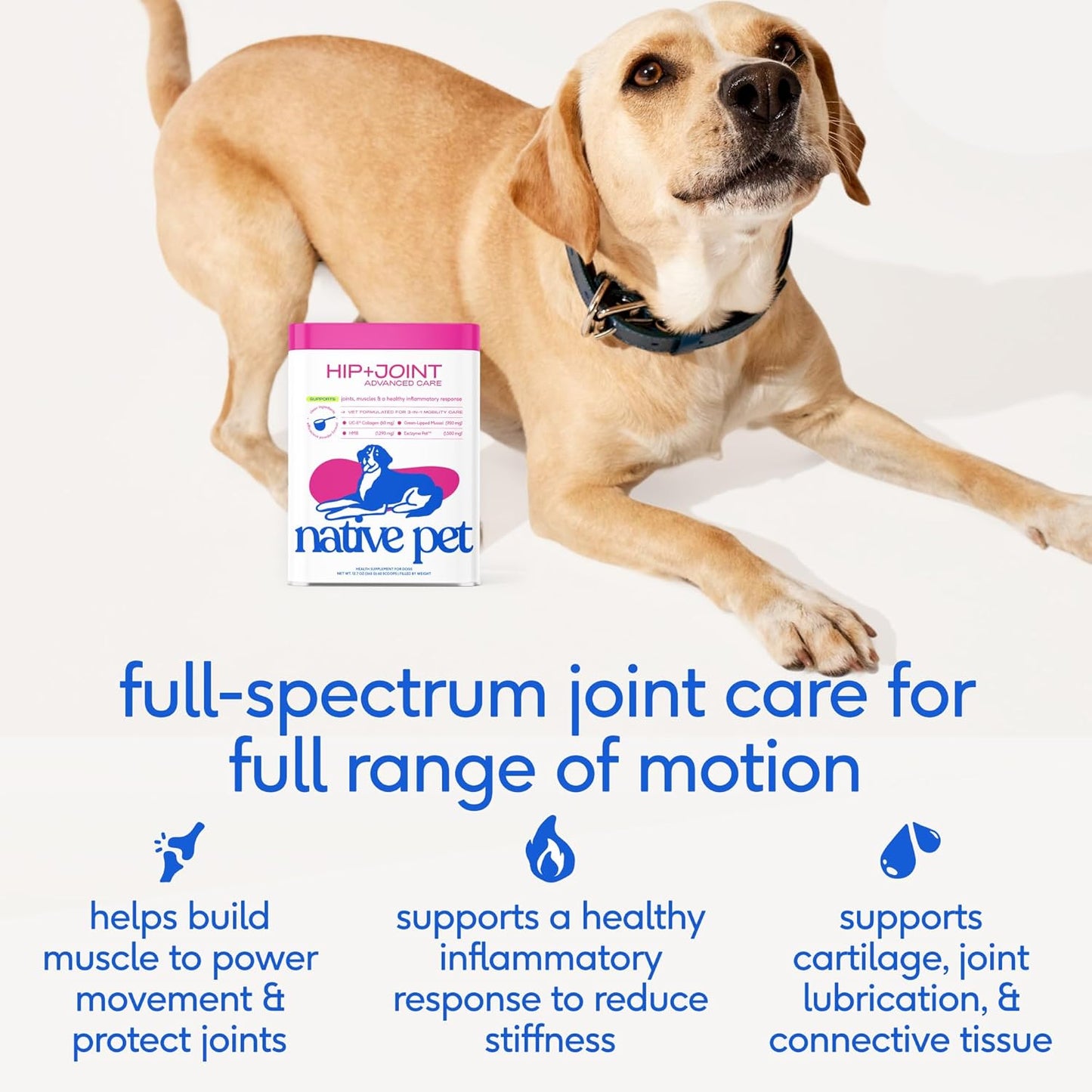 Native Pet Advanced Care - Hip & Joint Supplement for Dogs - Supports Joints, Cartilage, Muscles & Anti-Inflammatory with HMB, UC-II Collagen, Green Lipped Mussel & Hyaluronic Acid - 30 Scoops