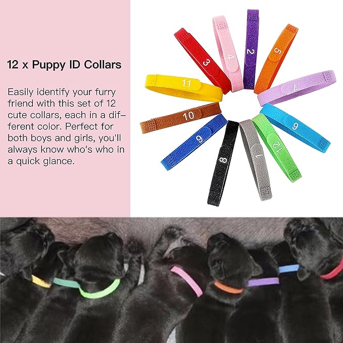 SQUARECIRCLE Complete Dog Whelping Kit with Feeding Nipple, Record Keeping Charts, ID Collars, Aspirator, Cord Clamps & More - Essential for Newborn Puppies (Red with Pads)