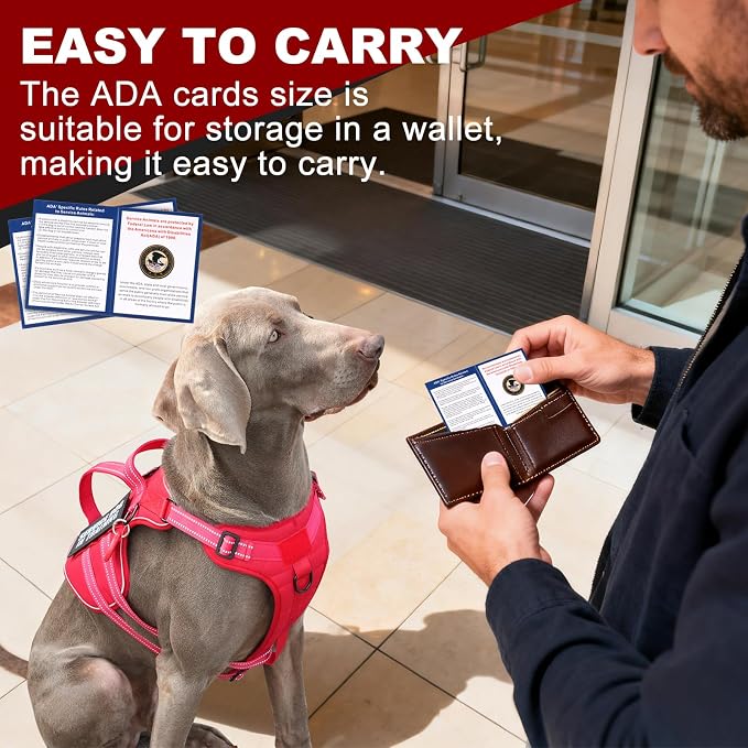 Service Dog Harness + ID Tag 50 ADA Information Cards - No Pull Dog Vest 10 PCS Removable Patches - Reflective Emotional Support Animal Vest for Small Dogs - Adjustable Breathable ESA Training Vest