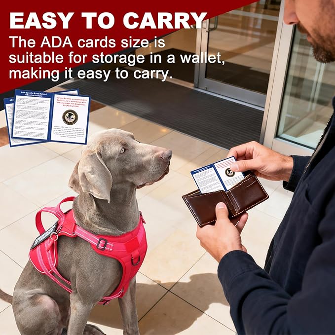 Service Dog Harness + ID Tag 50 ADA Information Cards - No Pull Dog Vest 10 PCS Removable Patches - Reflective Emotional Support Pet Vest for Extra-Large Dogs - Adjustable Breathable ESA Training Vest