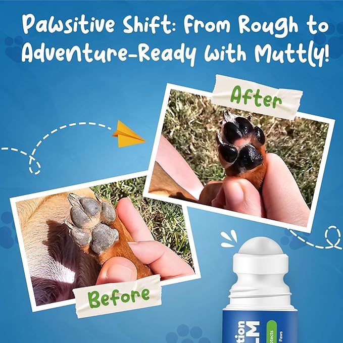 Roll-On Dog Paw Balm - Moisturizer & Soothing Protection from Snow & Hot Pavements - Snout Soother for Dogs - Easy & Fast to Apply, Natural, Non-Toxic, Food-Grade, Lick-Safe Wax
