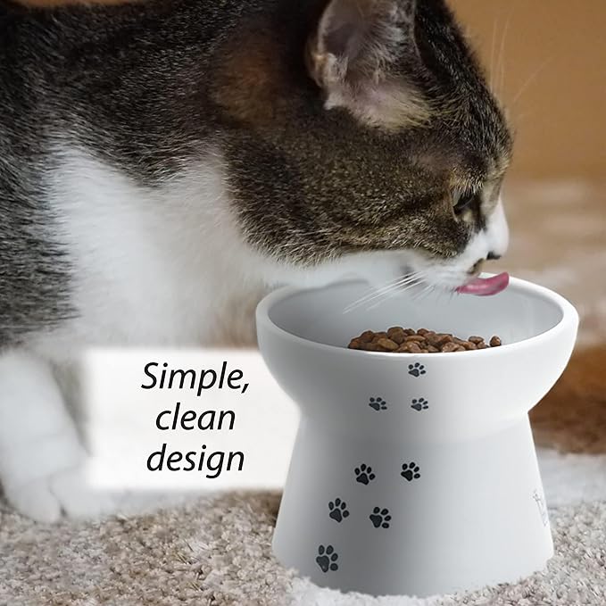 Necoichi Raised Cat Food Bowl – Ceramic Elevated Cat Bowl for Whisker & Neck Fatigue, Dishwasher Microwave Safe – Non-Slip & Anti Vomiting Ergonomic Design (Cats, Large Flat)