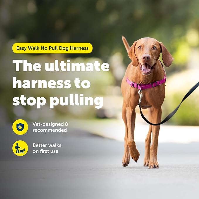 PetSafe Easy Walk Harness, No Pull Dog Harness, Medium, Raspberry | Patented Martingale Loop Gives Gradual Shoulder Pressure to Stop Pulling, Front-Chest Leash Clip Prevents Gagging