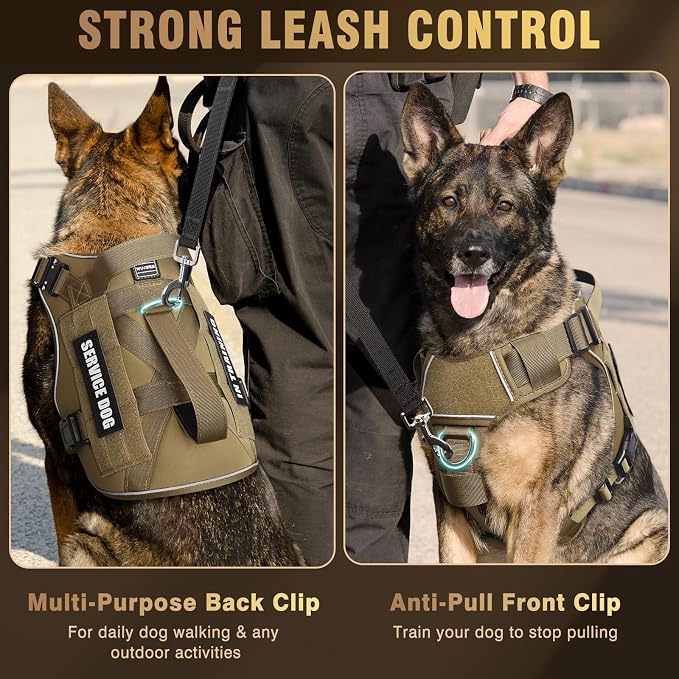 2X Metal Buckle Service Working MOLLE Dog Vest with 10 Pet Patches | Tactical Dog Harness for Medium Dog, No-pull Military Working Vest for Training Hunting Walking，2x D Rings for Leash Clip