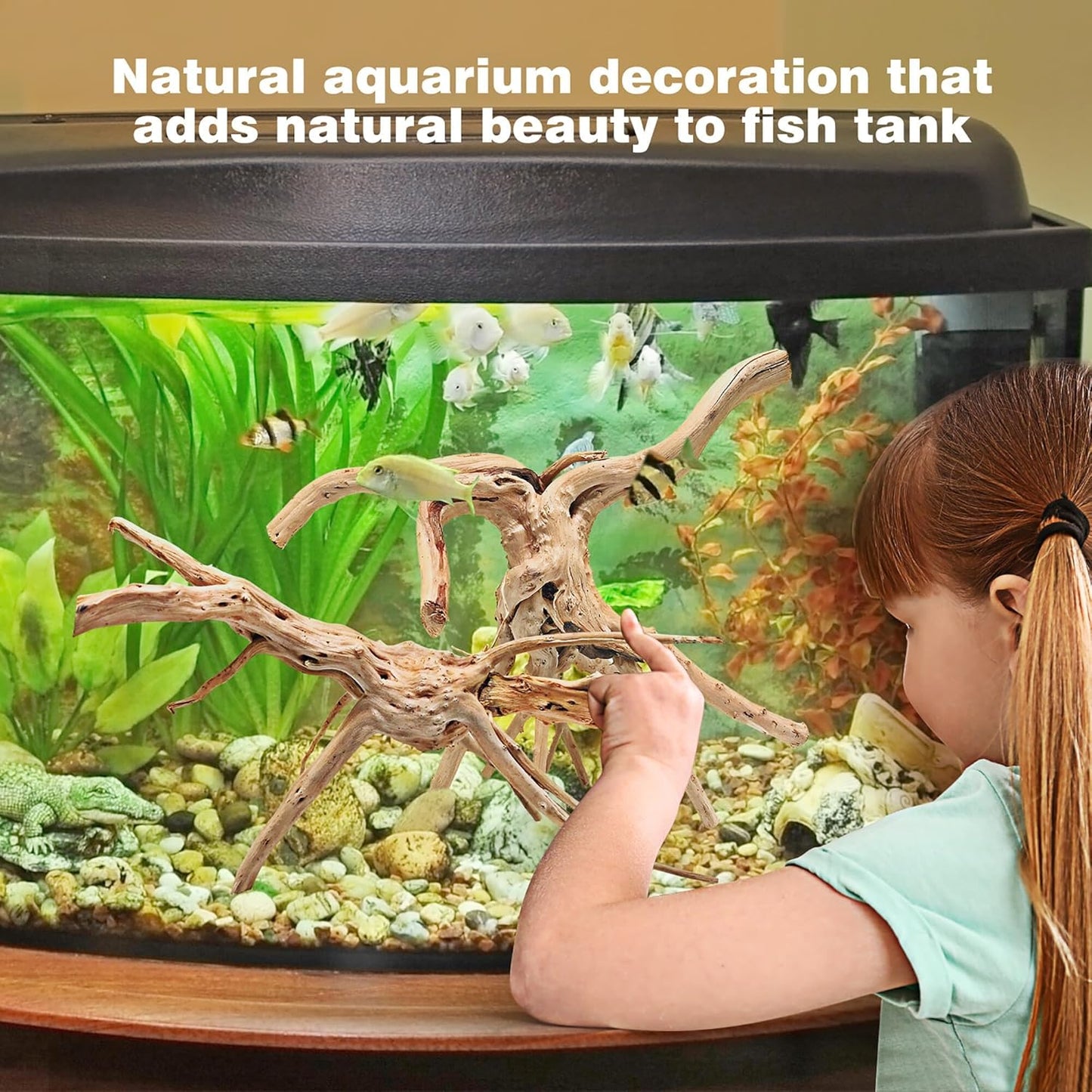 WDEFUN Natural Spiderwood for Aquarium Decor 3-Piece 7''-11'' Long Natural Driftwood Branches for Fish Tank Decorations