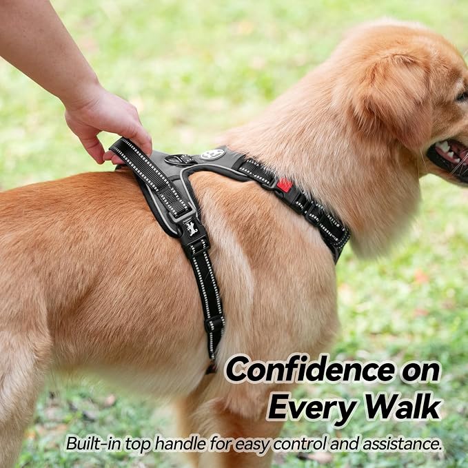 PoyPet No Pull Dog Harness Large with Front Clip & Neck Release Buckle | No Choke, Adjustable Vest, Reflective, Back Clip, Lockable, Soft Padded, Easy Control Handle for Walking Training, XL, Grey