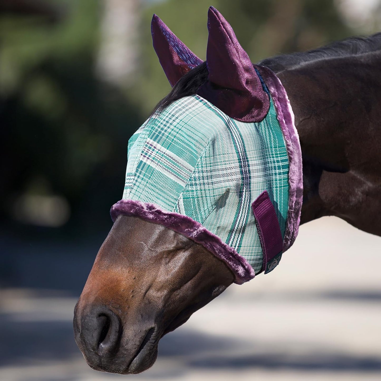 Kensington Signature Fly Mask w/Plush Fleece & Ears w/Forelock Hole Size