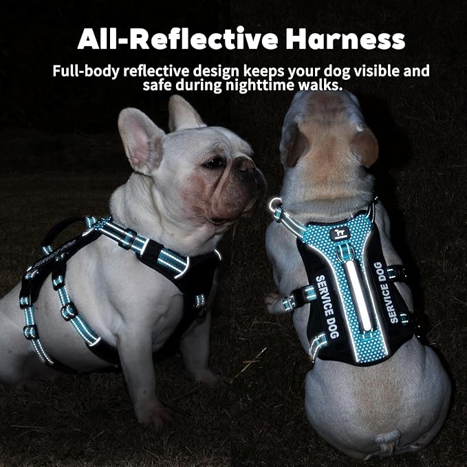 Service Dog Vest Harness, Escape Proof Harness with 6 Patches, No-Pull, Reflective Harness with Handle, Adjustable for Small to Large Dogs, for Training and Hiking (Teal, XS)