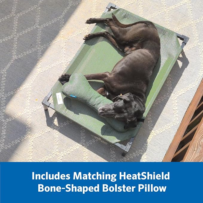 Coolaroo Pro Elevated Dog Bed with HeatShield Fabric – Advanced Cooling Raised Cot for Small & Medium Breeds, Easy-Clean, Low-to-Ground Access, Bonus Bolster Pillow – Pacific Crest Blue