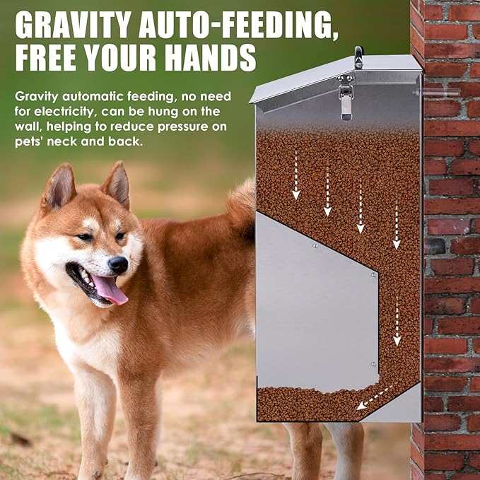 Automatic Dog Feeder Large Breed Outdoor, Stainless Steel Material | 25 Lbs Dog Dry Food Dispenser with Clear Flap Door, Gravity Pet Feeder Feeding Station, Sturdy and Durable, Wall Mountable