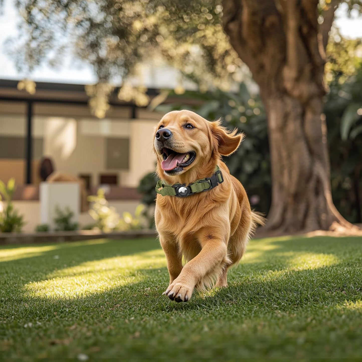Tactical AirTag Dog Collar - Heavy Duty, Adjustable GPS Collar Compatible with Apple AirTag, with Holder & Control Handle for Medium/Large Dogs [ Green, L ]