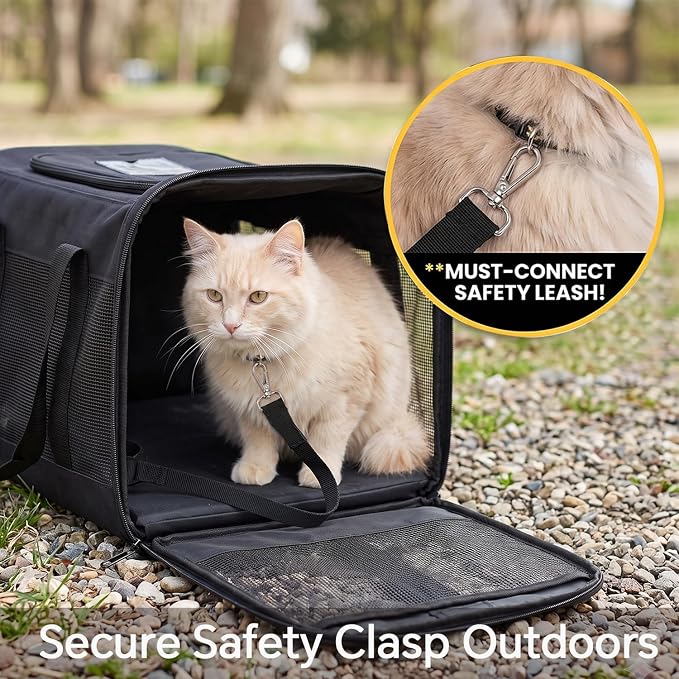 Conlun Cat Carrier Airline Approved, Soft-Sided Dog Carrier with Inner Safety Leash, Pet Transport Carrier for Small-Medium Cats Puppies up to 15 Lbs, Collapsible Travel Kitten Carrier Bag -Green M