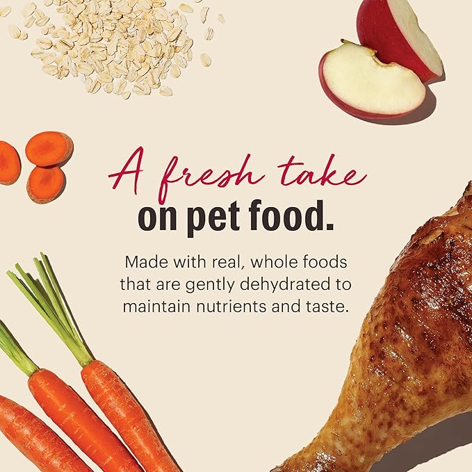 The Honest Kitchen Human Grade Wholemade™ Dehydrated Whole Grain Turkey Dog Food - Complete & Balanced Meal or Topper - 2 lb Bag