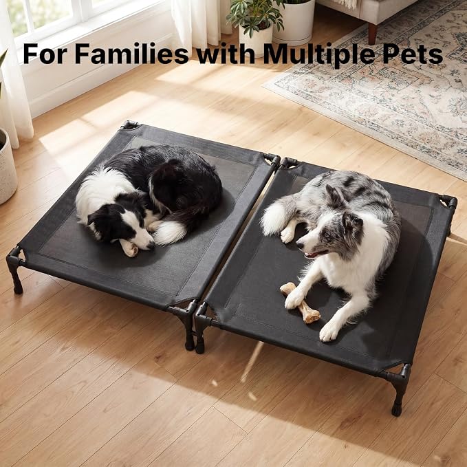 Veehoo Cooling Elevated Dog Bed, Outdoor Raised Dog Bed for Two Dogs | Indoor Pet Cot with Breathable Teslin Mesh & Anti-Slip Feet, Durable Double Dog Bed for Multi-Pet Homes, 35" x 25", Black
