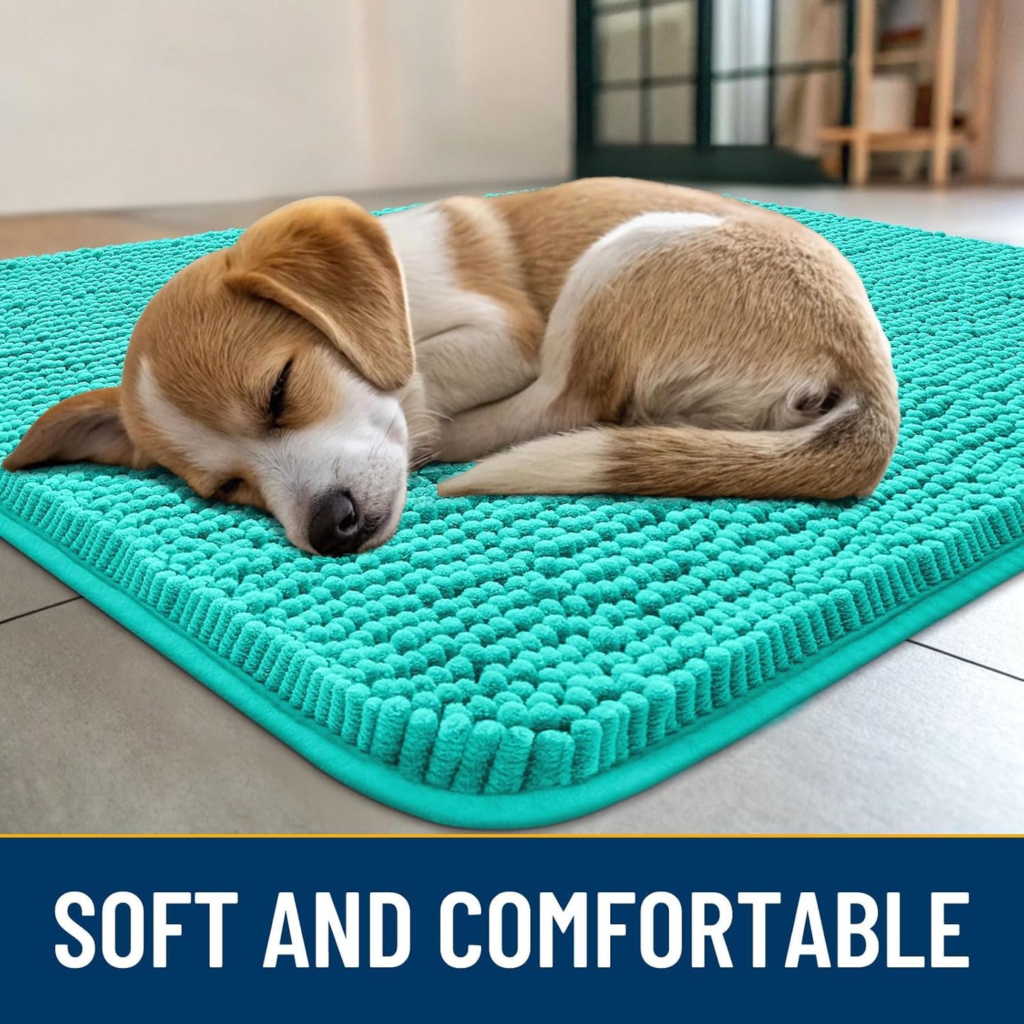 Smiry Dog Door Mat for Muddy Paws 36x24, Absorbs Moisture and Dirt Doormat, Non-Slip Washable Quick Dry Chenille Front Door Mat Indoor Entrance, Entryway Carpet for Inside Floor, Teal