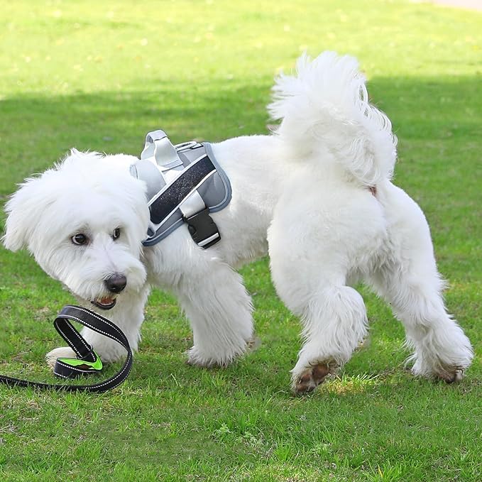 Dog Harness, No-Pull Reflective Dog Vest, Breathable Adjustable Pet Harness with Handle for Outdoor Walking - No More Pulling, Tugging or Choking