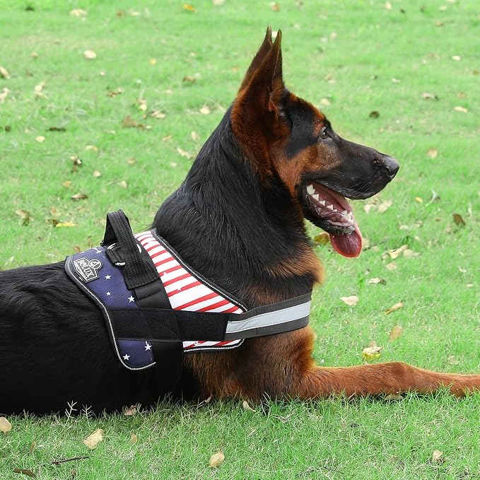Dog Harness, No-Pull Reflective Dog Vest, Breathable Adjustable Pet Harness with Handle for Outdoor Walking - No More Pulling, Tugging or Choking (Flag, X-Large)