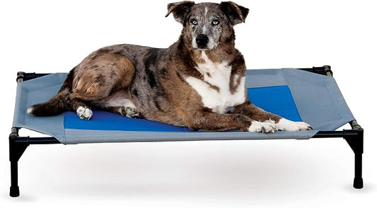 K&H Pet Products Coolin' Pet Cot Elevated Pet Bed Gray/Blue Large 42 X 30 X 7 Inches