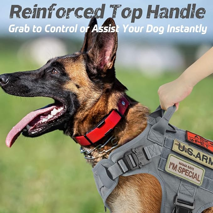 rabbitgoo Tactical Dog Harness for Large, Heavy Duty Military No Pull Vest | Sturdy Metal Buckles, 5 Adjustments, Molle System, Powerful Pullers for Training, Hunting, Outdoor, Grey, Large