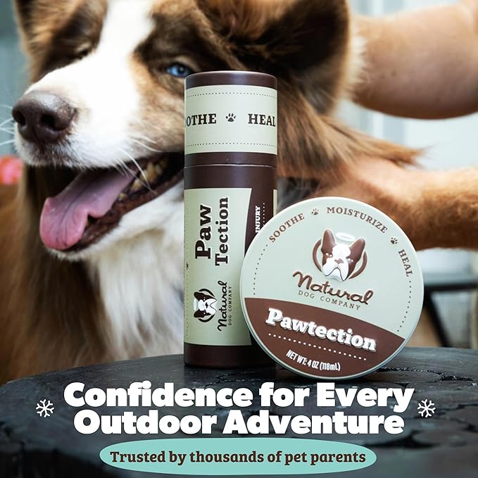 Natural Dog Company PawTection Balm for Dogs – Winter Paw Protection from Snow, Ice & Salt, Wax-Based Paw Barrier Balm, All Breeds for Cold Weather Walks & Outdoor Adventures, Lick-Safe, 1 oz Tin