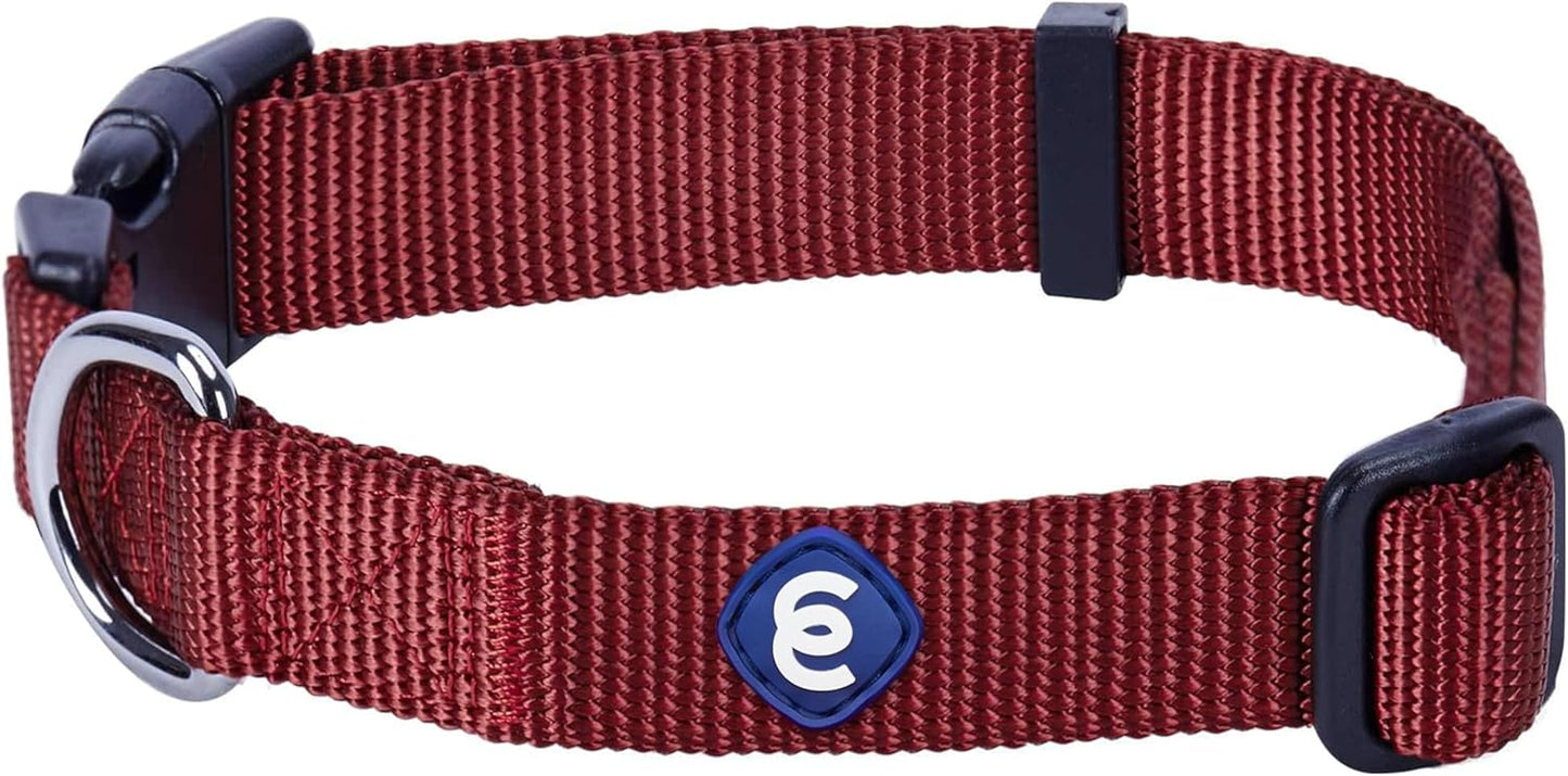 Blueberry Pet Essentials Small Dog Collar | Fired Brick Nylon Dog Collar with Quick Release | Girl & Female Dog Collars for Fall