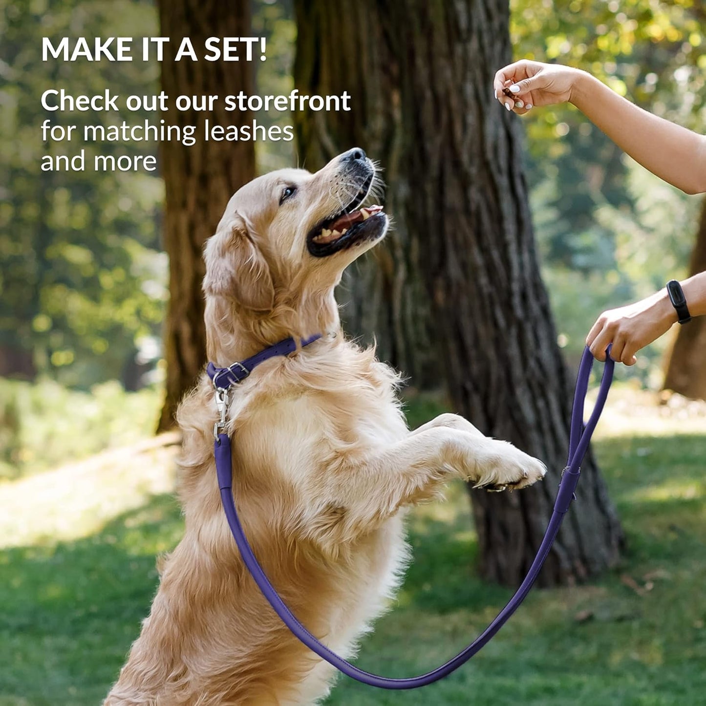 CollarDirect Rolled Leather Dog Collar, Soft Padded Round Puppy Collar, Handmade Genuine Leather Collar Dog Small Large Cat Collars 13 Colors (6-7 Inch, Purple Smooth)