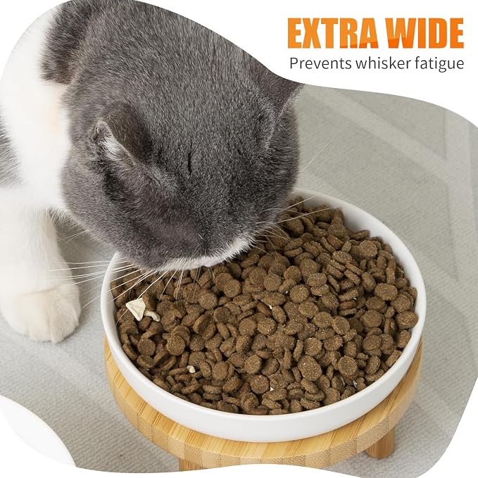 Lusifaco Shallow Elevated Cat Bowls,5.9 Inch Wide Raised Ceramic Cat Dishes with Bamboo Stand, Whisker Friendly Pet Water or Food Plates Feeding Station for Indoor Cats, Kitten(White,Set of 1)
