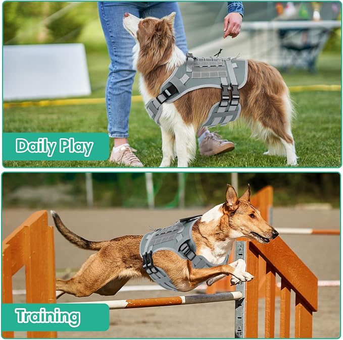 YooxArmor No Pull Dog Harness and Leash Set, Tactical Adjustable for Large Dog, Easy Walk Soft Vest Padded Oxford for Training Hiking (Gray-L)